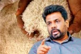 සහල් මිලේ දැවැන්ත වෙනසක් වෙයි ද?. ජනපති අනුර වහා විශේෂ සාකච්ඡාවක් ගනී..