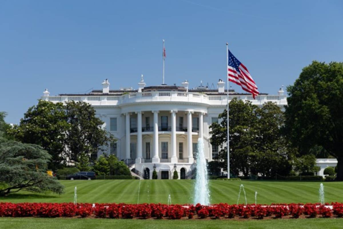 வெள்ளை மாளிகையில் தயாராகும் யுஎஃப்சி சண்டைக் கூண்டு | Trump Birthday Ufc Fighting Set Up At White House