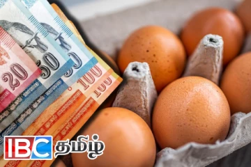 முட்டை விற்பனை குறித்து வெளியான தகவல்