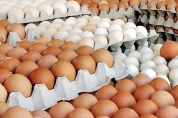 இந்தியாவிலிருந்து மில்லியன் கணக்கில் முட்டை இறக்குமதி