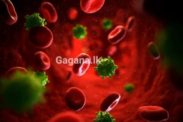 දැඩි අවධානයෙන් සිටින්න..චීනයේ පැතිර යන බිහිසුණු වෛරසය ඉන්දියාවටත්..