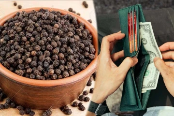 பர்ஸ்ல பணம் குறையாம இருக்கனுமா? இந்த 1 பொருளை உள்ளே வைங்க