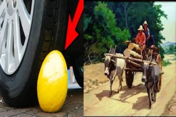 டயருக்கு அடியில் எலுமிச்சை வைப்பது ஏன்? இது தெரிஞ்சா இனி பண்ண மாட்டீங்க