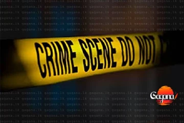 තියුණු ආයුධයකින් පහරදී කාන්තාවක් ඝාතනය කරයි