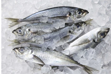 மனித நுகர்விற்கு ஒவ்வாத பழுதடைந்த மீன் வகைகள் பொலிஸாரால் மீட்பு