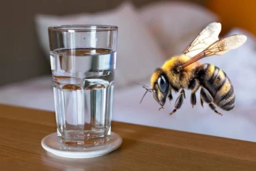 ஒரு டம்ளர் தண்ணீர் மற்றும் தேனீயால் இளைஞருக்கு நேர்ந்த சோகம்