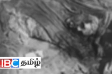 அமெரிக்க எல்லையில் மர்மம்! 19 கருகிய சடலங்கள் மீட்பு