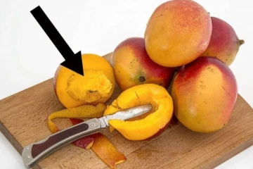 நீரிழிவு நோயை கட்டுப்படுத்தும் சக்திவாய்ந்த உணவு பொருள்! இந்த பழ கொட்டையை தூக்கி இனி வீசாதீங்க!