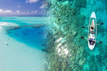 அடுத்த 50 ஆண்டுகளில்... அழிவின் விளிம்பில் இருக்கும் தீவு