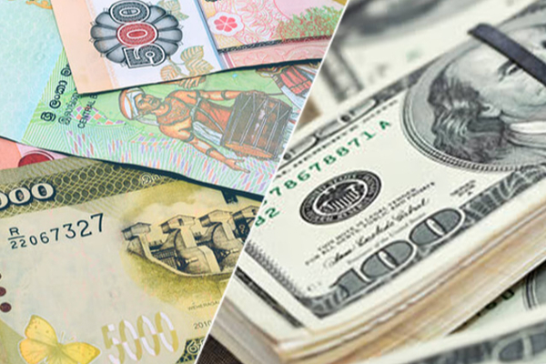 அமெரிக்க டொலர் ஒன்றின் இன்றைய பெறுமதி! மத்திய வங்கி வெளியிட்டுள்ள அறிக்கை - ஐபிசி தமிழ்