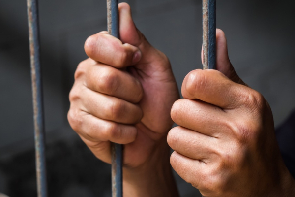 யாழ்ப்பாணத்தில் 29 பேர் அதிரடியாக கைது | 29 People Arrested In Jaffna One Week