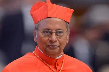 கர்தினாலை  கைது செய்ய  அரசாங்கம் நடவடிக்கை ?