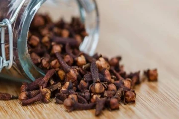 சர்க்கரை நோயை அடியோடு அழிக்க பயன்படும் கிராம்பு - எப்படி சாப்பிடலாம்?