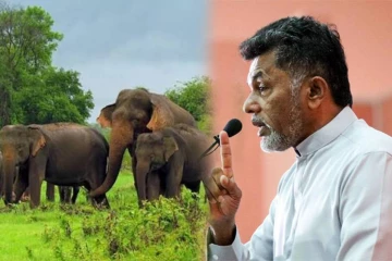 பொலன்னறுவை மாவட்டத்தை உலகின் சிறந்த யானைகள் காட்சிப் பிரதேசமாக மாற்ற நடவடிக்கை