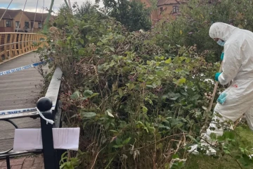 பிரித்தானிய பூங்காவில் சடலமாக கிடந்த நபர்: இரண்டாவது நபரை கைது செய்த பொலிஸார்!