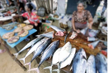 අහස උසට ගිය මාළු මිල එකවරම විශාල ප්‍රමාණයකින් පහල බසී..නව මිල ගණන් මෙන්න..