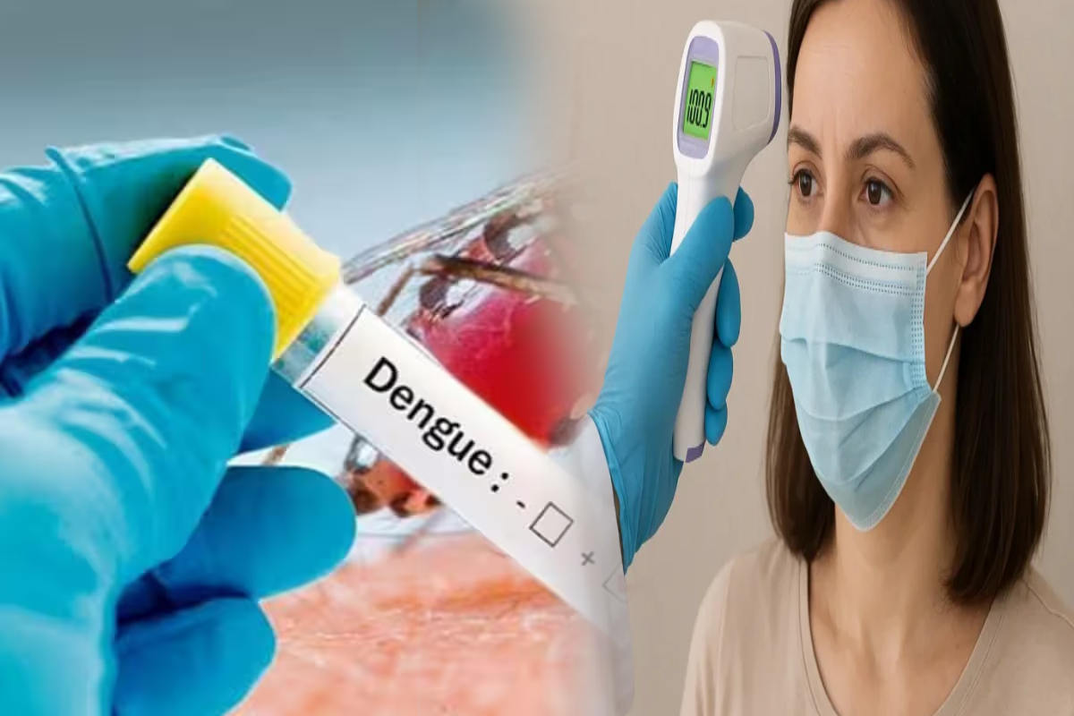 2 நாட்களுக்கு மேல் காய்ச்சல் இருந்தால் கவனம்; டெங்கு காச்சல் தொடர்பில் எச்சரிக்கை | Warning Regarding Dengue Fever Srilanka