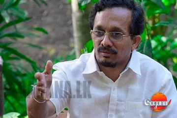 අවදානම් ගස් නම් පාසලටම වගකීමයි - වෙන්දේසි කර මුදල් අය කරගන්න