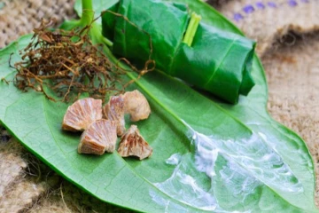 தமிழர் பகுதியில் வெற்றிலை மென்றவருக்கு காத்திருந்த பெரும் சிக்கல் ; விடுக்கப்பட்ட பகிரங்க எச்சரிக்கை