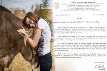 பிப்ரவரி 14 “பசுக்களை கட்டியணைக்கும் தினம்” என விலங்குகள் நல வாரியம் அறிவிப்பு - காதலர்கள் அதிர்ச்சி