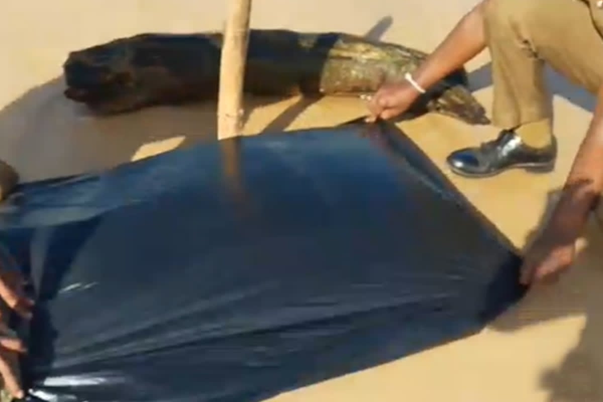 இலங்கையில் பரபரப்பை ஏற்படுத்தும் மர்ம மனித தலைகள் | Human Head Found Behind The Hotel இலங்கையில் பரபரப்பை ஏற்படுத்தும் மர்ம மனித தலைகள் | Human Head Found Behind The Hotel