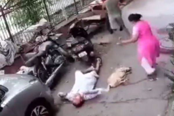 சுருண்டு விழுந்த நாய்! பதற வைக்கும் CCTV காட்சிகள் - என்ன நடந்தது தெரியுமா? | Viral Video News Dog Cctv