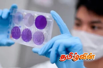 இந்தியாவில் அதிகரிக்கும் கோவிட் தொற்று : 6 இறப்புக்கள் பதிவு