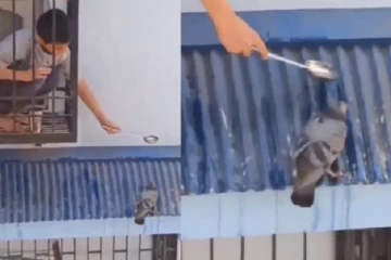 தாகத்தால் துடிதுடித்த புறாவிற்கு தண்ணீர் வைக்கும் சிறுவன்...சிறகை விரித்து தாகத்தை தீர்த்த காட்சி