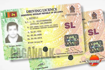 රියදුරු බලපත්‍රය ගැන ගත්තු අලුත්ම තීරණය, මීට පස්සේ ලයිසන් ගන්න ඕනේ මෙහෙම