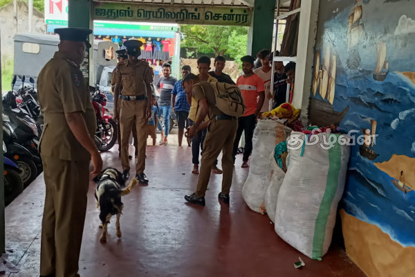 யாழில் அதிகரிக்கும் போதைப்பொருள் பாவனை:பொலிஸாரின் அதிரடி நடவடிக்கை(Photos) | Police Action On Increasing Drug Use In Jaffna