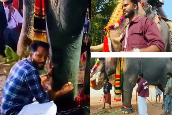 யானையின் காலடியில் அமர்ந்து நோன்பு துறந்த பாகன் | Pagan Who Broke His Fast By Sitting Feet Elephant யானையின் காலடியில் அமர்ந்து நோன்பு துறந்த பாகன் | Pagan Who Broke His Fast By Sitting Feet Elephant