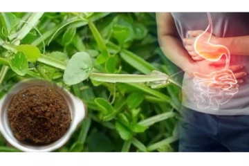 வாயுத்தொல்லை, அஜீரண கோளாறுகளை போக்கும் பிரண்டை துவையல்! செய்வது எப்படி?