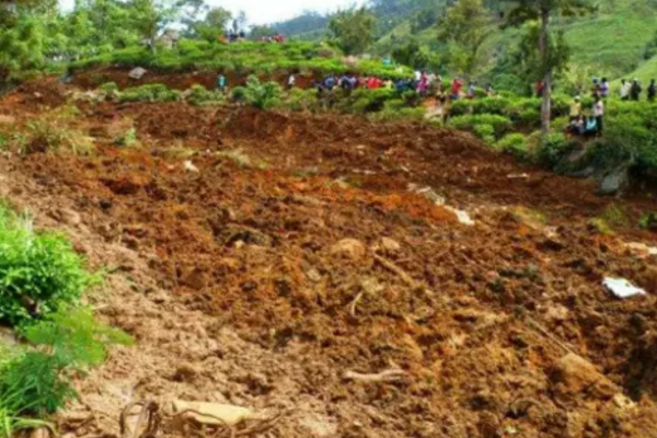 நிலச்சரிவில் காணாமல் போனோர் தொடர்பில் சர்வதேச நிபுணத்துவத்தை நாடுமாறு அரசாங்கத்திடம் கோரிக்கை | Request Government To Seek International Expertise