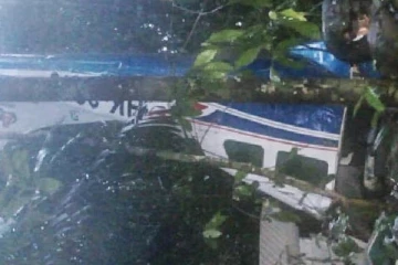 அமேசான் காட்டில் விபத்து : 4 குழந்தைகள் உயிருடன் மீட்பு