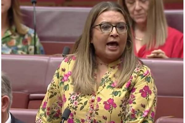 one nation leader enter senate with burqa