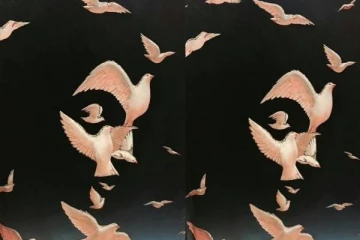 கள்ளத்தனமாக காதலிப்பவர்களை பார்த்தவுடன் கண்டுபிடிக்க ஒரு Test:படத்தில் தெரிவது என்ன?