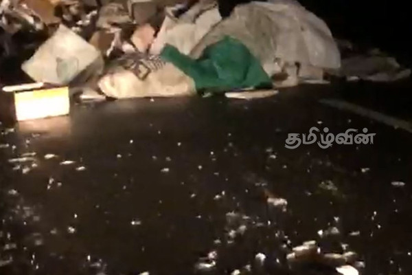 முறிகண்டி A9 வீதியில் சிதறிக்கிடந்த மீன்கள்! | A Vehicle Crash Scattered The Fish In The Middle