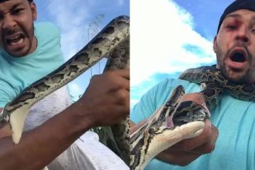 பாம்பு பிடிப்பவரின் கண்ணை பதம் பார்த்த மலைப்பாம்பு: ஒரு திடுக் வீடியோ