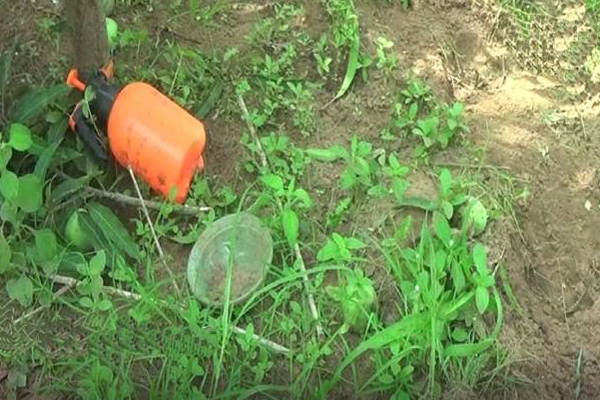 மட்டக்களப்பில் வயோதிபர் ஒருவரின் உயிரை பறித்த காட்டு யானை! | Wild Elephant Killed An Elderly Man In Batticaloa