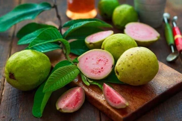 கொய்யா பழத்தை அதிகமாக சாப்பிட்டால் உடலுக்கு நல்லது இல்லையாம்! உஷாரா இருங்க