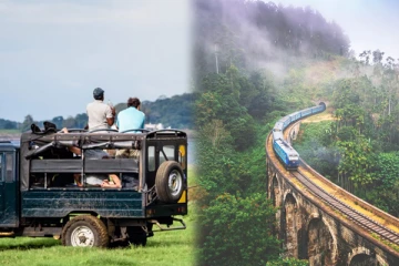 இலங்கையின் சுற்றுலாத் துறையில் மீள் எழுச்சி : வருவாயாக பெறப்பட்ட பெருந்தொகை டொலர்கள்