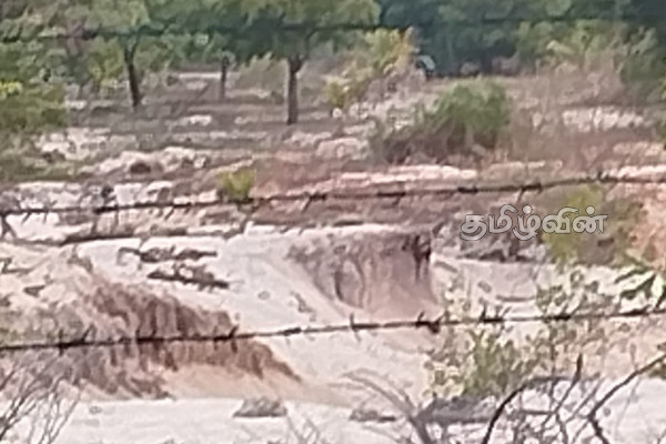 மரம் நடுகை திட்டத்திற்கென வழங்கப்பட்ட காணியில் சட்டவிரோத கனிய மணல் அகழ்வு | Illegal Mining Of Mineral Sand On Land Provided