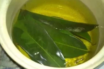 மூலத்தை  அடித்து விரட்டி மூலக்கட்டியை இல்லாமல் செய்யும்  சக்திவாய்ந்த இலை! எப்படி பயன்படுத்துவது?