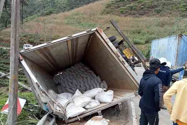 கோழி உரத்தை ஏற்றி பயணித்த லொறி விபத்து | Truck Fell Accident In Toppas Area