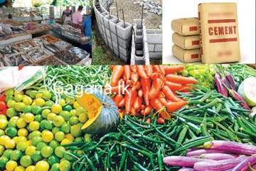 එලවළු, මාළු සහ ගොඩනැගිලි උපකරණ වල මිලට එකවරම සිදු වූ දේ මෙන්න..