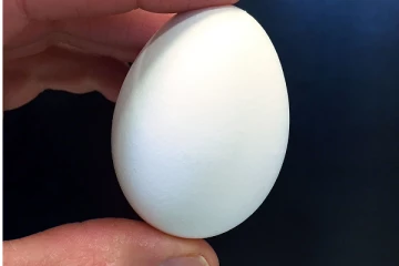 ஒரு மணி நேரம் ஆகியும் வேகல...  முட்டையை உடைத்த போது ஒரு கிராமத்துக்கே காத்திருந்த அதிர்ச்சி