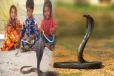 இப்படியும் மனிதர்களா? விஷ பாம்புகளுடன் விளையாடும் குழந்தைகள்... ஒரு வினோத கிராமம்!