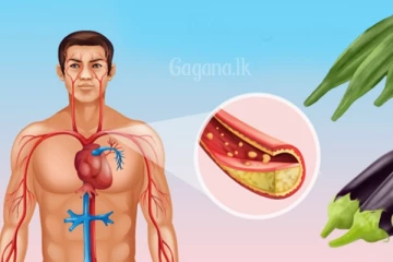 කොලෙස්ටරෝල් සිරුරට හිතකරයි..ඇත්ත නැත්ත මෙතනින් දැනගන්න..