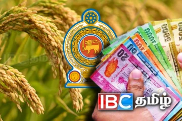பத்து பில்லியன் ரூபாய் ஒதுக்கீடு! விவசாயிகளுக்கு அரசாங்கத்தின் மகிழ்ச்சித் தகவல்