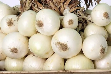 வெள்ளை வெங்காயத்தை உணவில்  சேர்த்து சாப்பிடுவதால் கிடைக்கும் பயன்கள் என்ன தெரியுமா?